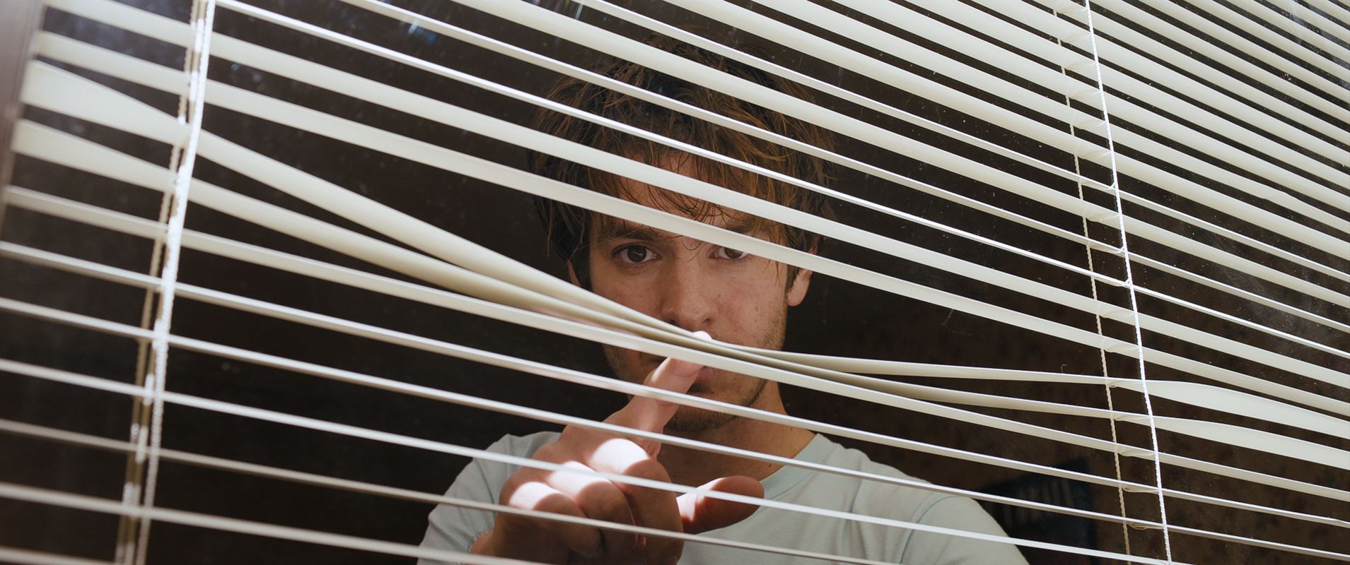 Under the Silver Lake (David Robert Mitchell)