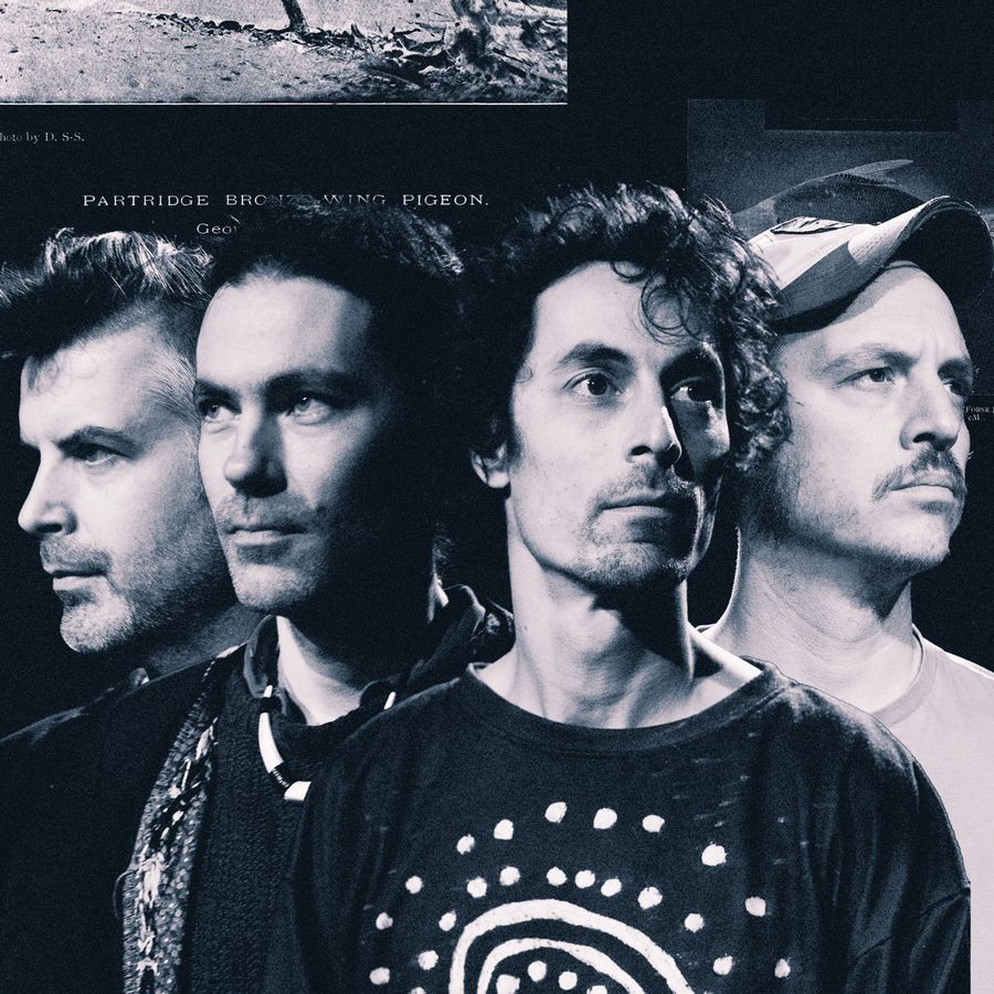 Echoes of Zoo
