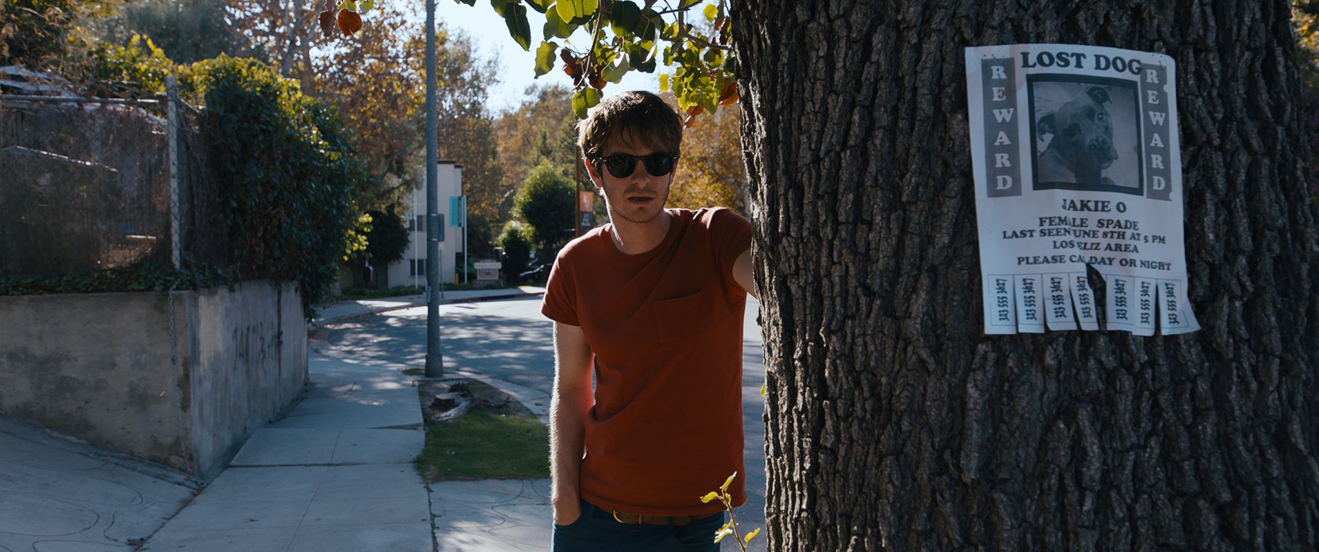 Under the Silver Lake (David Robert Mitchell)