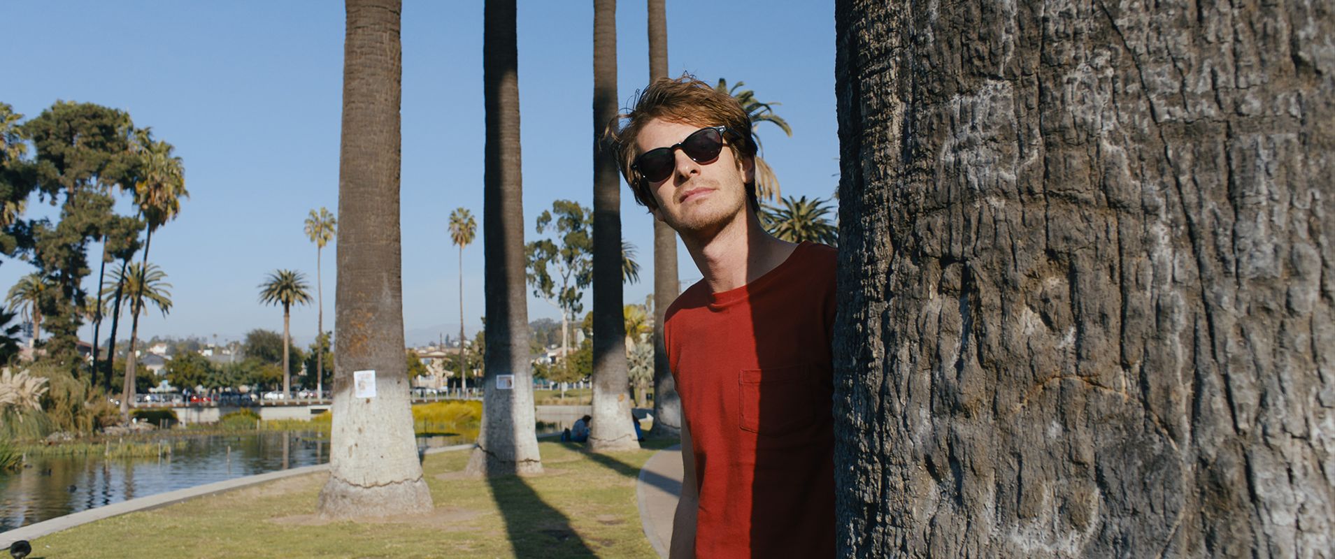 Under the Silver Lake (David Robert Mitchell)