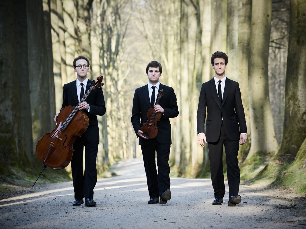 Busch Trio