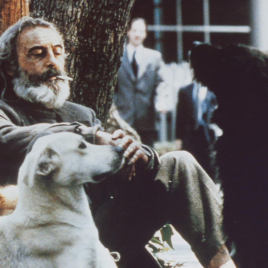 Amores Perros (Alejandro González Iñárritu)