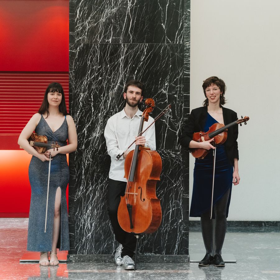 Ensemble Satellite 