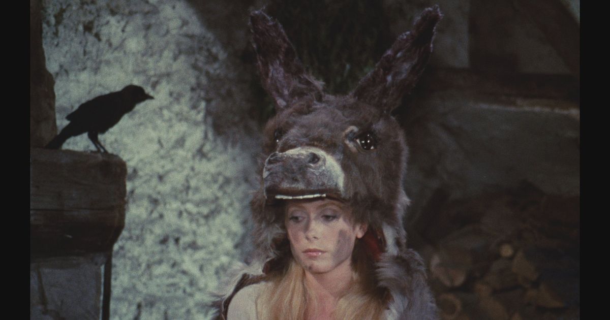 Donkey Skin