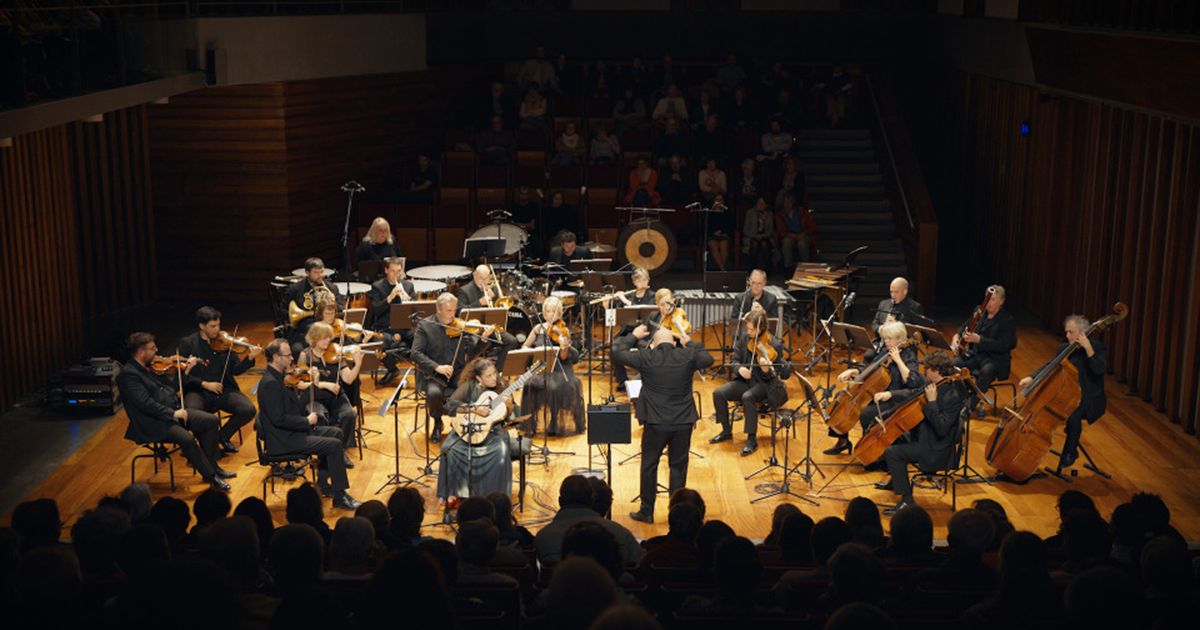 Rio — Gaëlle Solal & Orchestre Royal de Chambre de Wallonie | #8