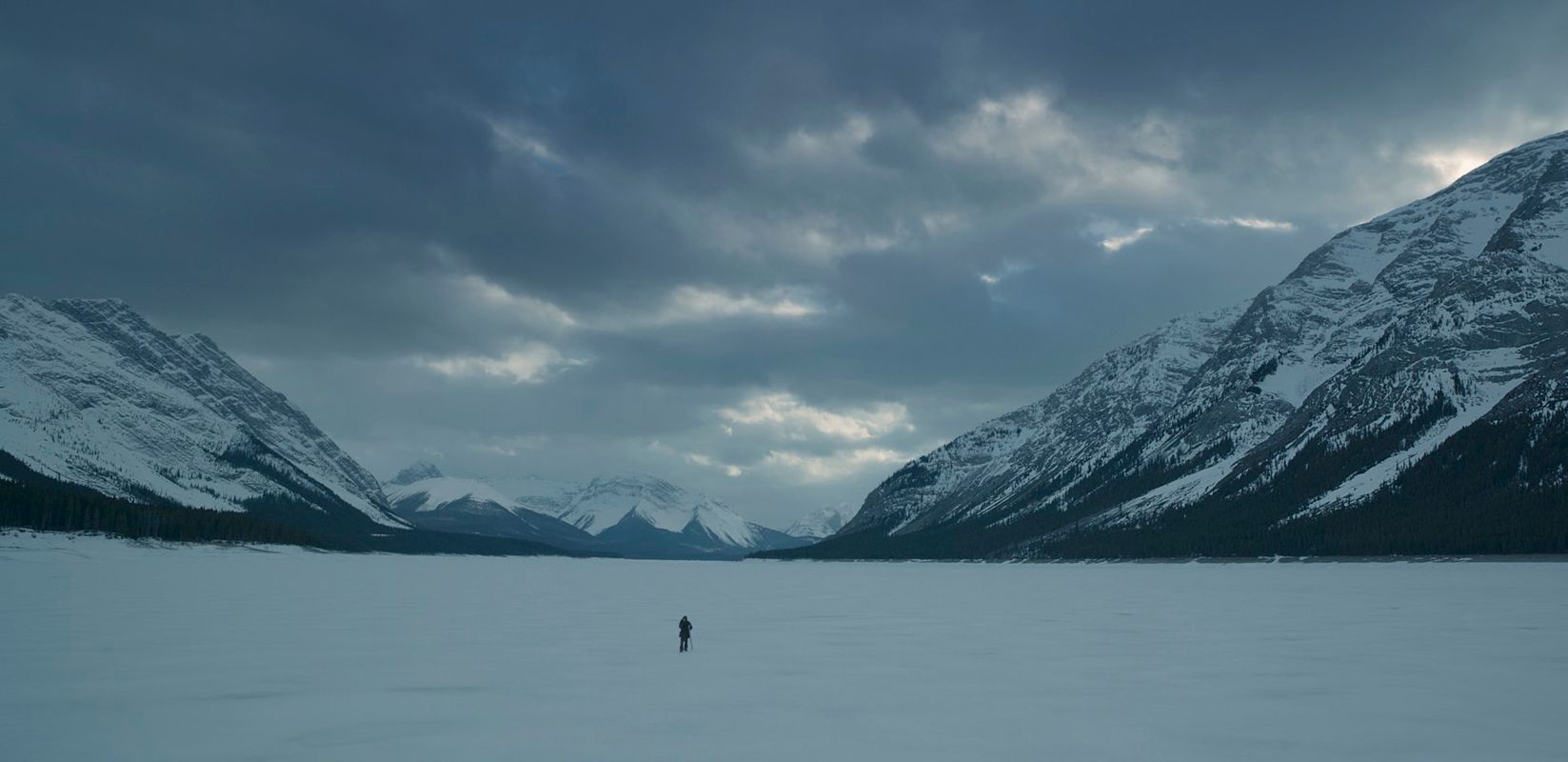 The Revenant (Alejandro González Iñárritu)