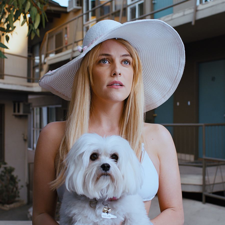 Under the Silver Lake (David Robert Mitchell)