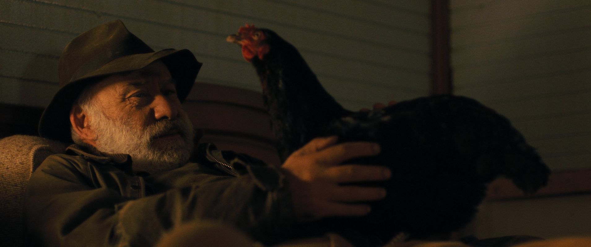 Hen (Györgi Palfi)
